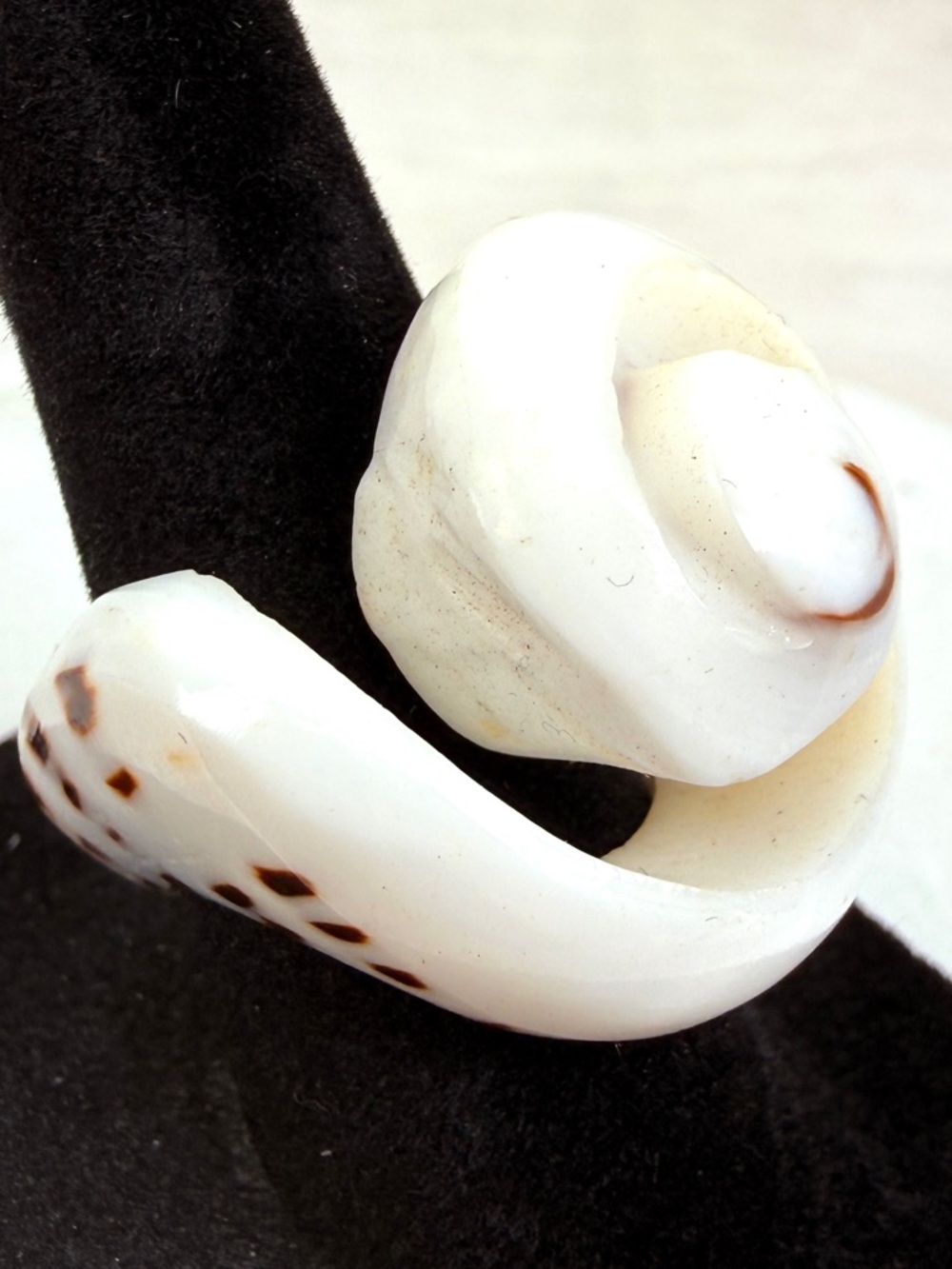 Interesting shell snail beach island chic ring